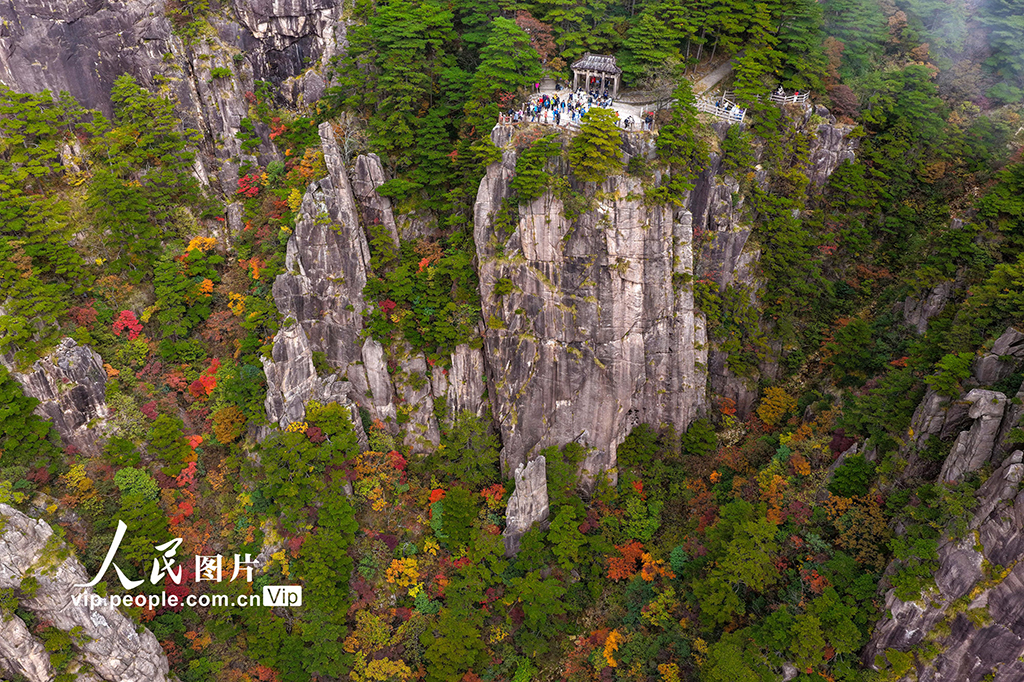 安徽黄山:峰林尽染秋意浓【2】