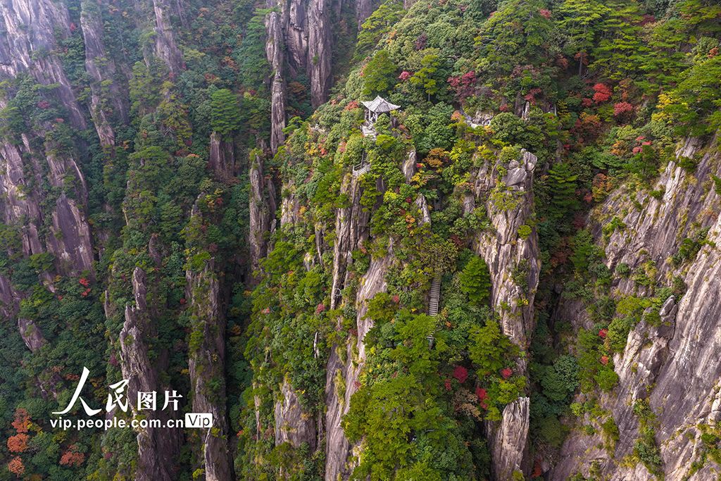 安徽黄山:峰林尽染秋意浓【3】