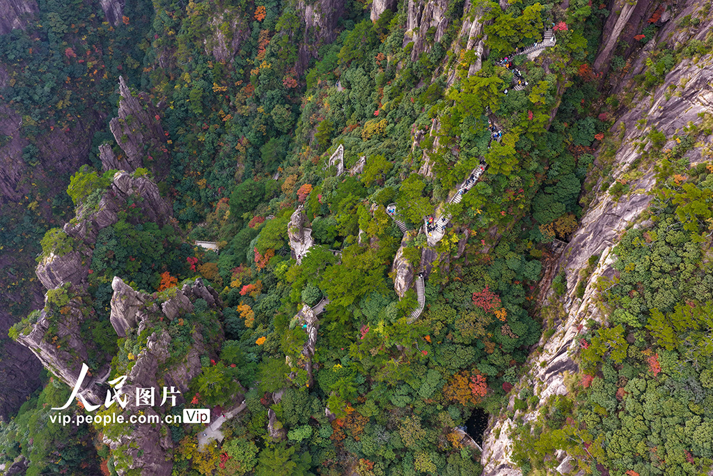 安徽黄山:峰林尽染秋意浓【4】