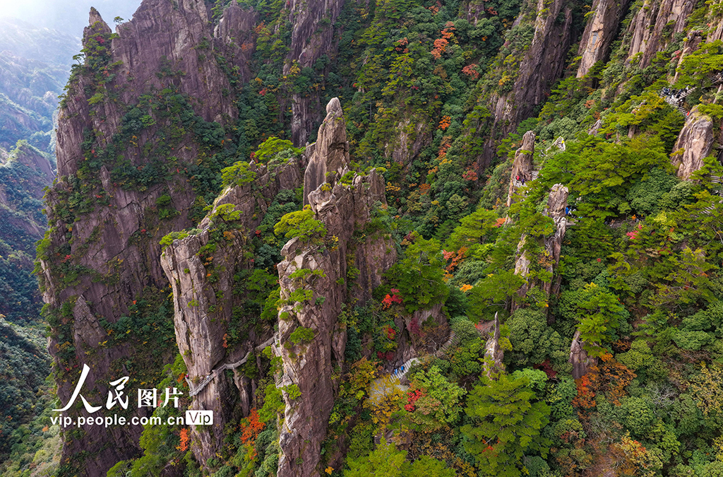 安徽黄山:峰林尽染秋意浓【5】