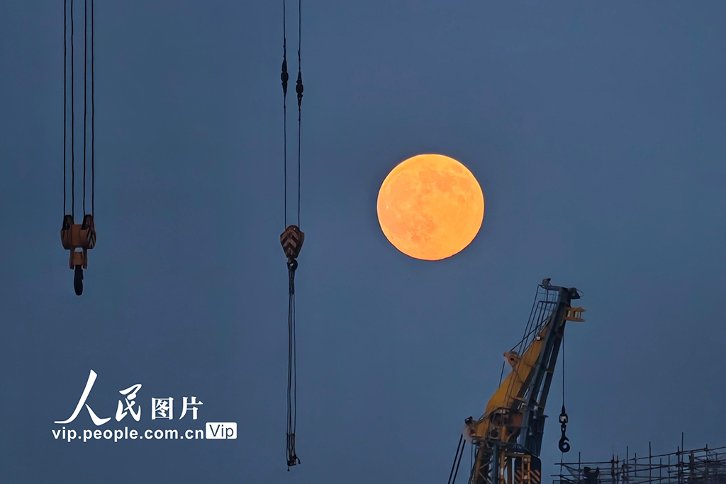 2025年11月5日,辽宁大连,“超级月亮”亮相天宇。刘德斌摄(人民图片网)