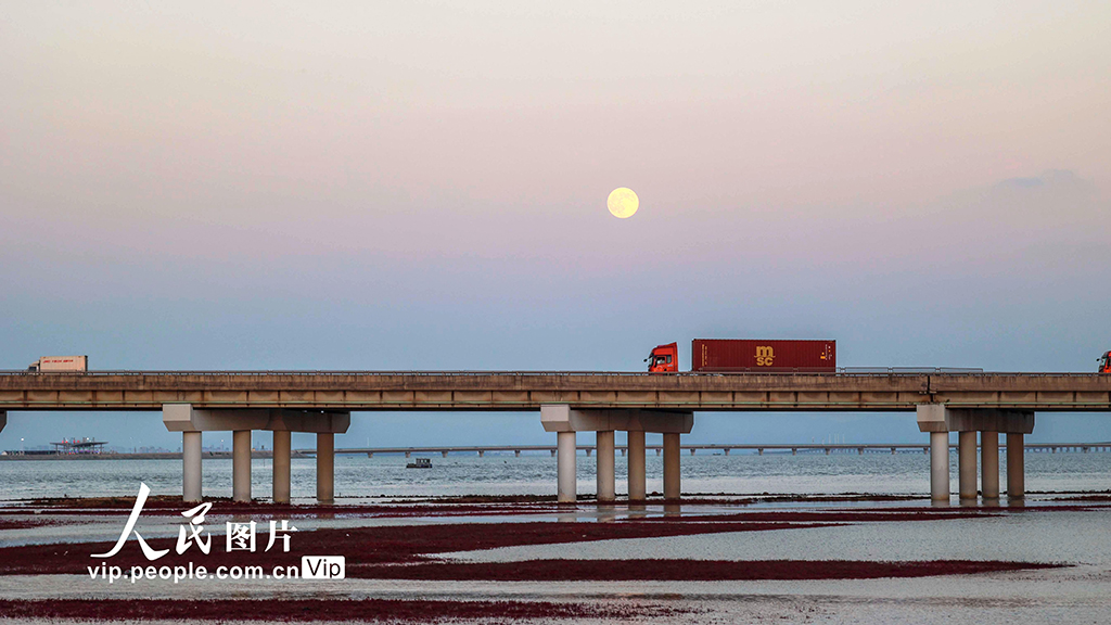 2025年11月5日,在山东省青岛市西海岸新区,“超级月亮”与海湾大桥交相辉映。韩加君摄(人民图片网)