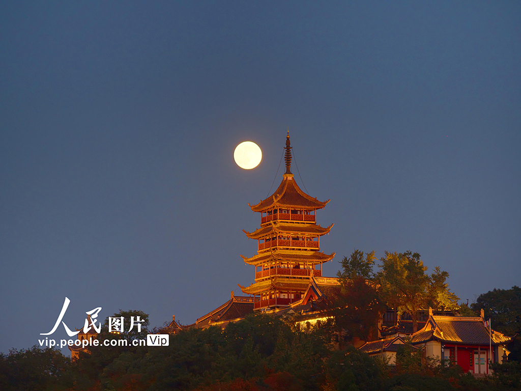 2025年11月5日晚,在江苏省南通市崇川区拍摄的“超级月亮”与狼山国家森林公园支云塔。许丛军摄(人民图片网)