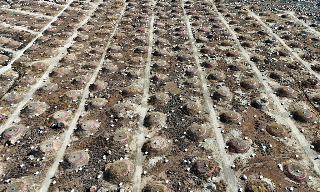 这是地面簇射粒子探测器阵列。埋在一个个“大土包”下面的1188个缪子探测器,和地面上一个个如“方盒子”的5216个电磁粒子探测器,它们共同组成地面簇射粒子探测器阵列(10月28日摄,无人机照片)。