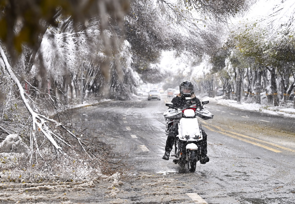 11月6日，在乌鲁木齐市红山路，一名外卖员在雪中骑行。新华社记者 王菲 摄