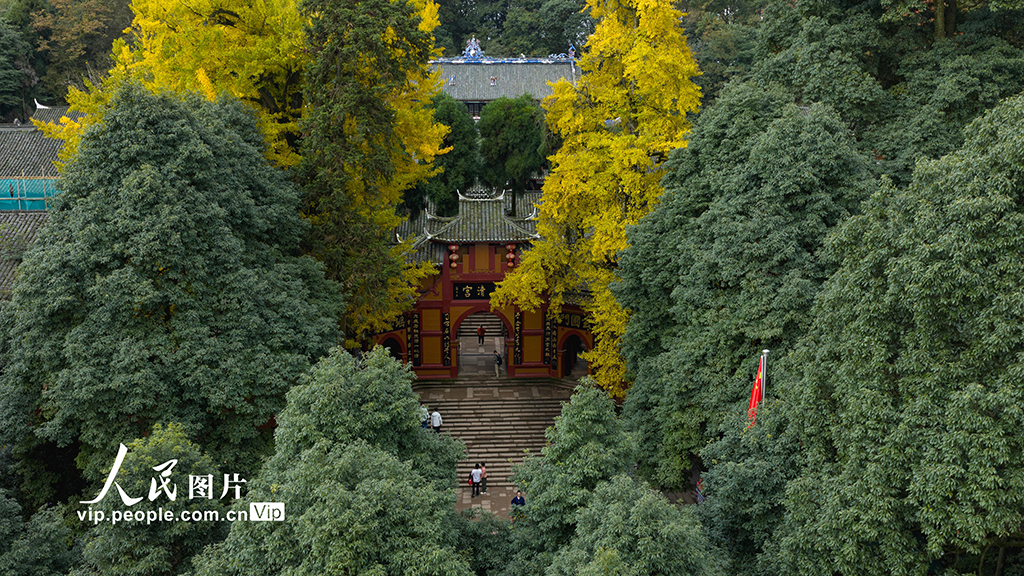 四川都江堰：青城山景区秋色美如画【2】