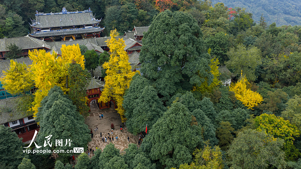 四川都江堰：青城山景区秋色美如画【3】