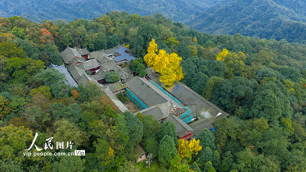 四川都江堰：青城山景区秋色美如画【4】