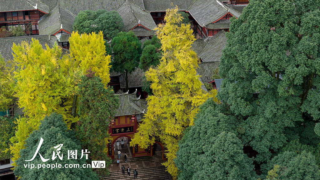 四川都江堰：青城山景区秋色美如画【6】