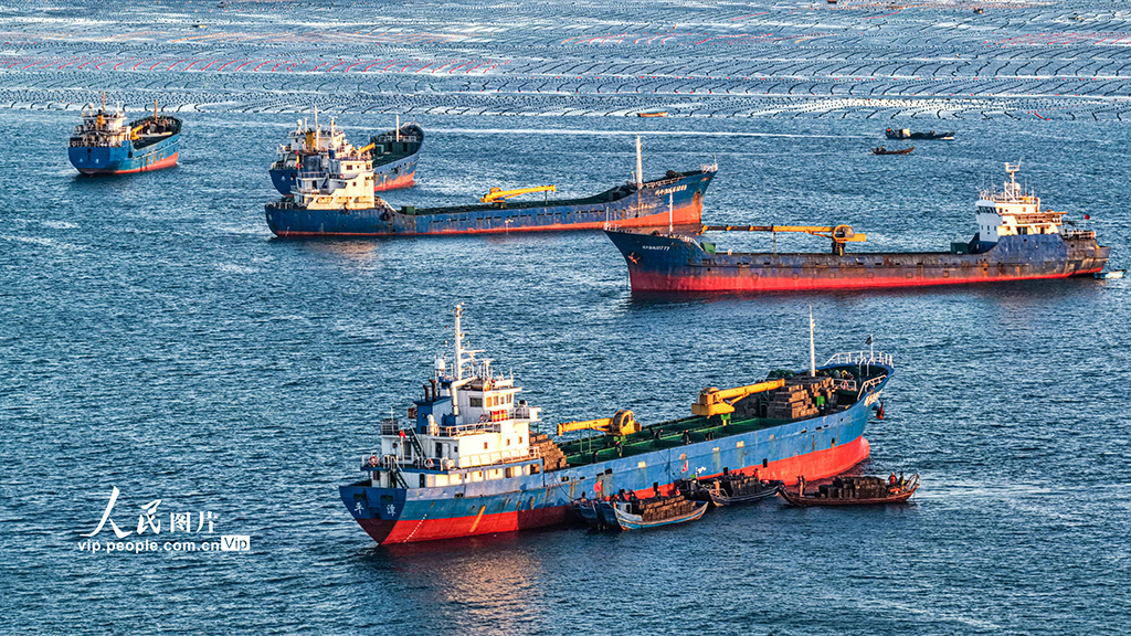 山东荣成:1200万头鲍鱼南下“越冬”【3】