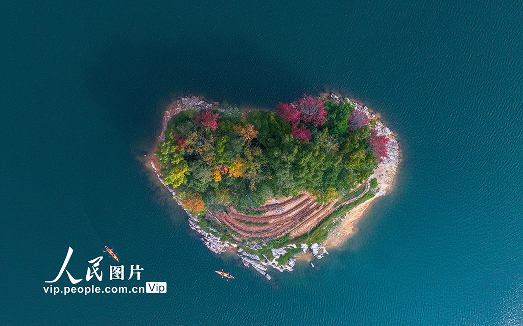 千岛湖又迎一年红叶季