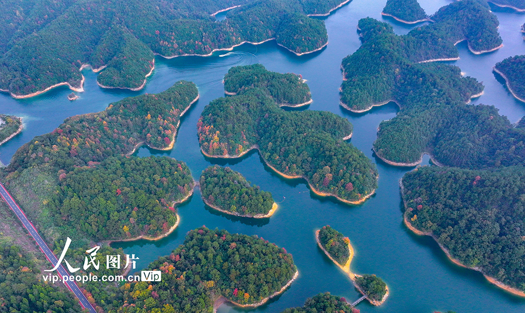 千岛湖又迎一年红叶季【4】