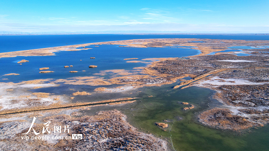 新疆福海:乌伦古湖国家湿地公园深秋美如画【2】