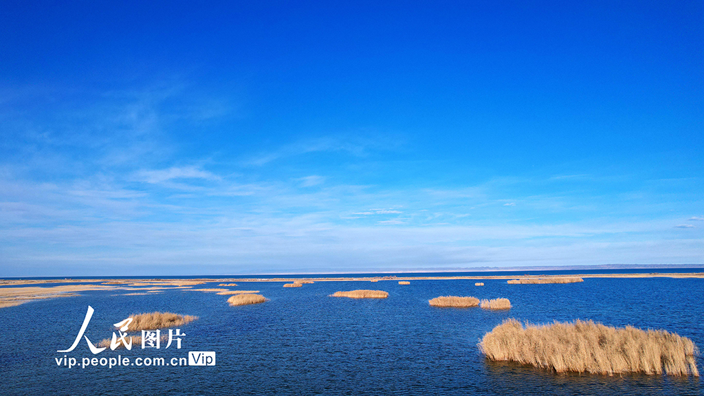 新疆福海:乌伦古湖国家湿地公园深秋美如画【4】
