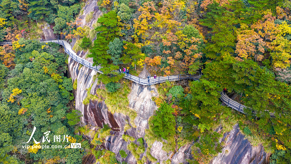 安徽池州:漫步高空栈道 欣赏绚丽秋色【5】
