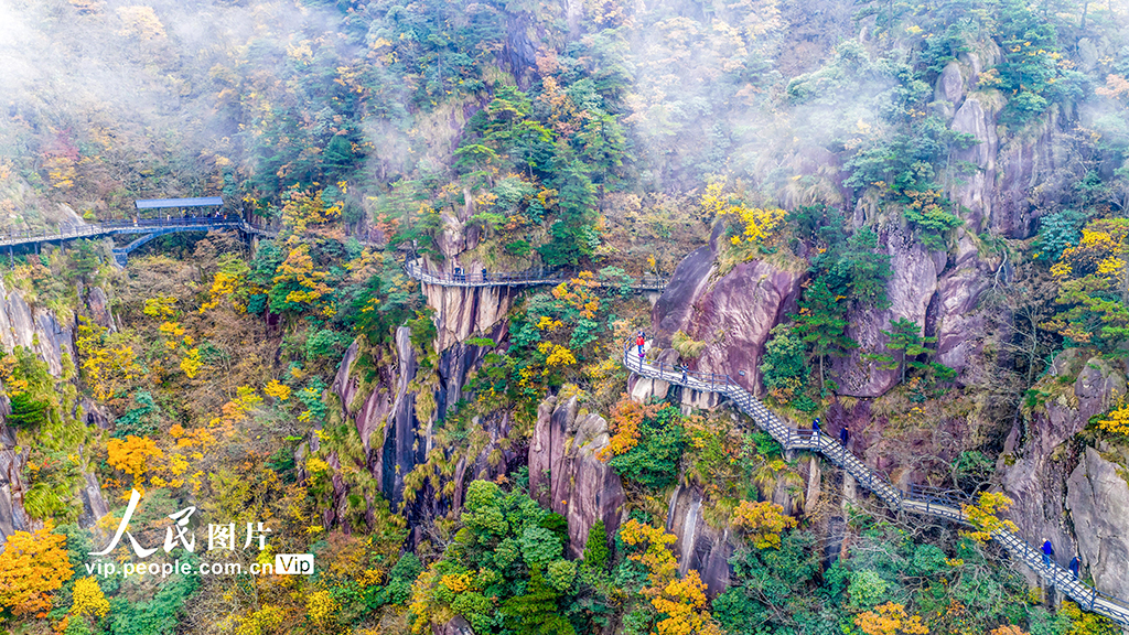 安徽池州:漫步高空栈道 欣赏绚丽秋色【6】