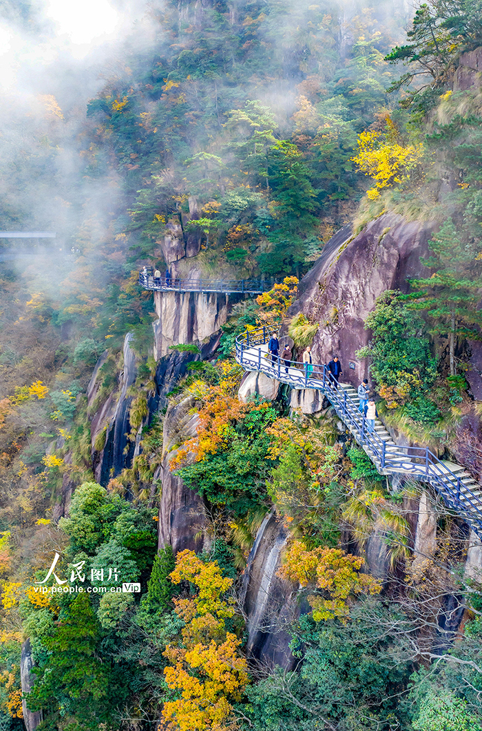 安徽池州:漫步高空栈道 欣赏绚丽秋色【4】