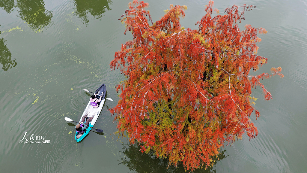 浙江杭州：青山湖秋色醉游人【4】