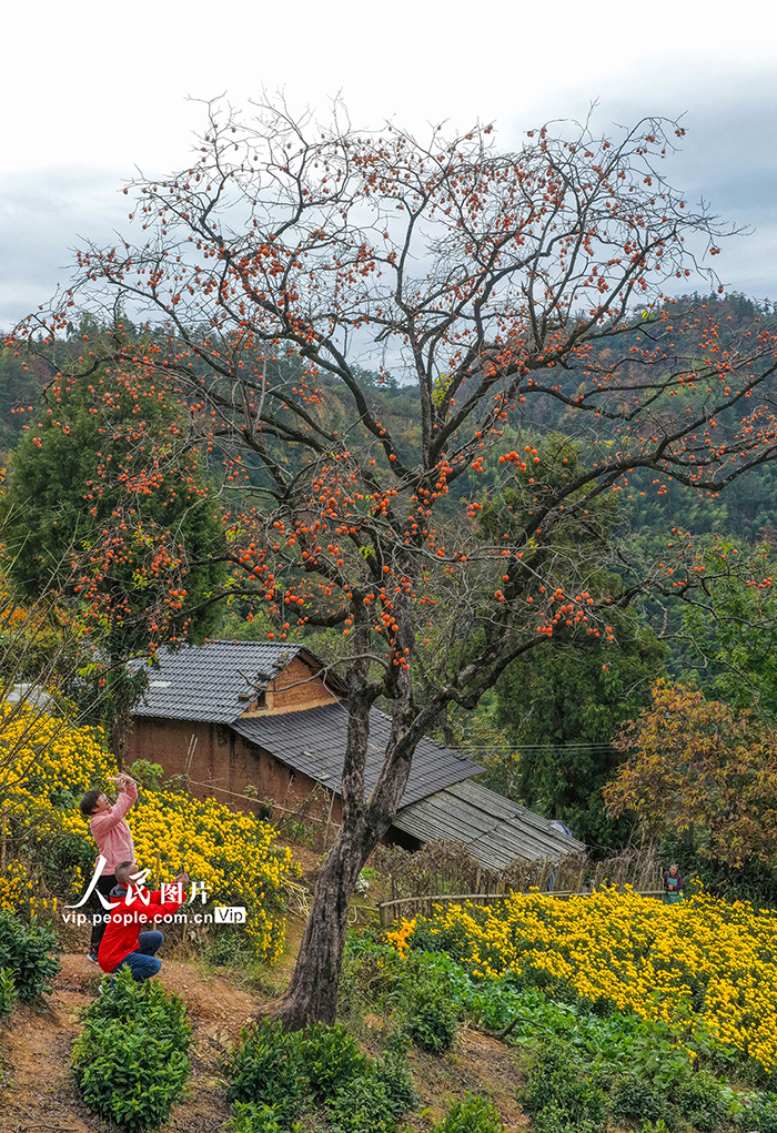 安徽歙县：山乡景色美【3】