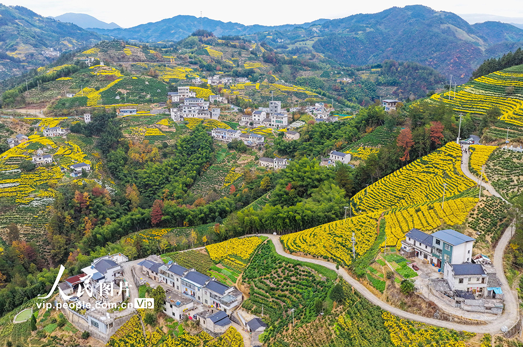 安徽歙县：山乡景色美【5】