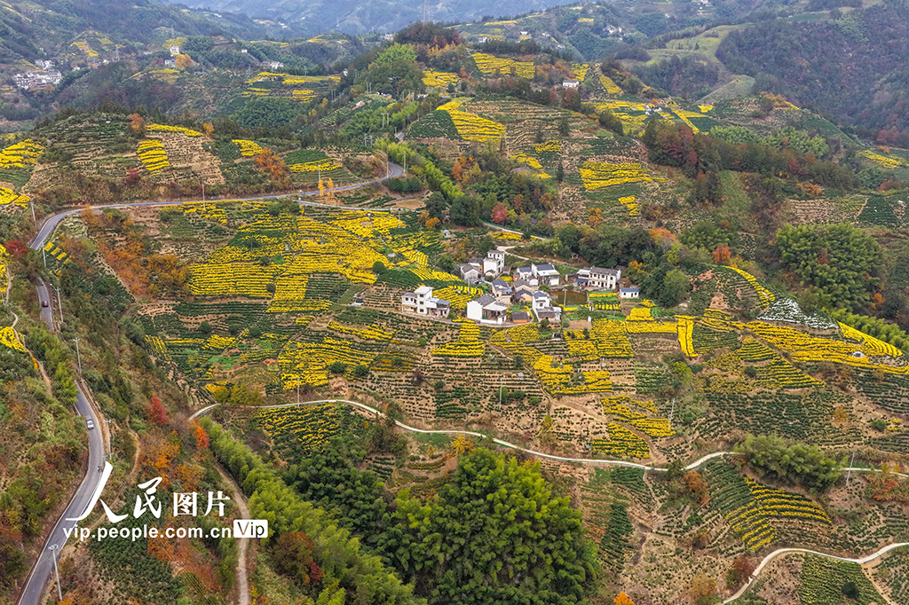 安徽歙县：山乡景色美【6】