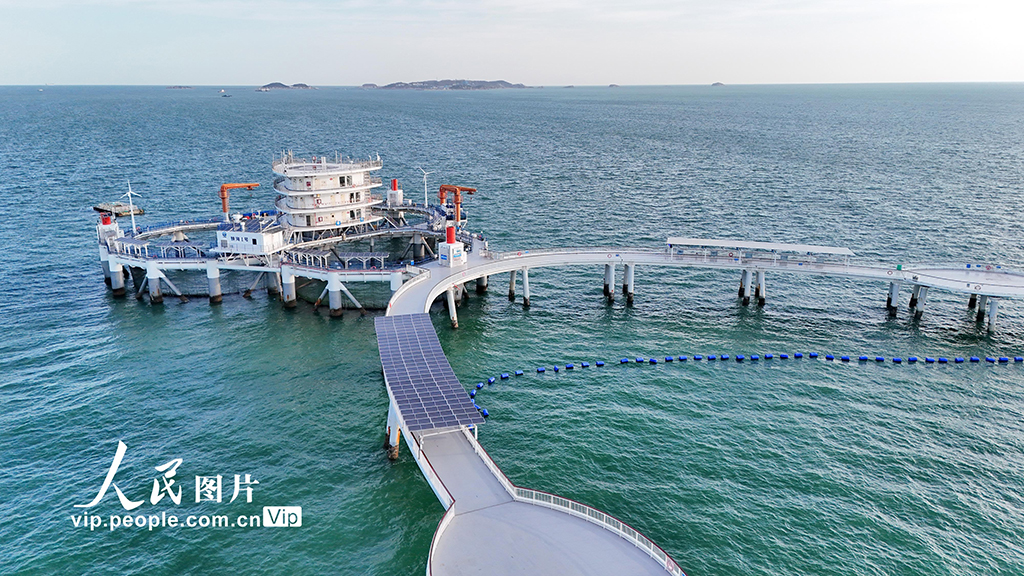 山东烟台：积极建设海洋牧场【3】