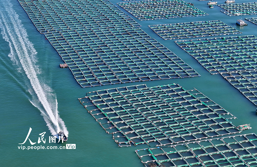 山东烟台：积极建设海洋牧场【4】