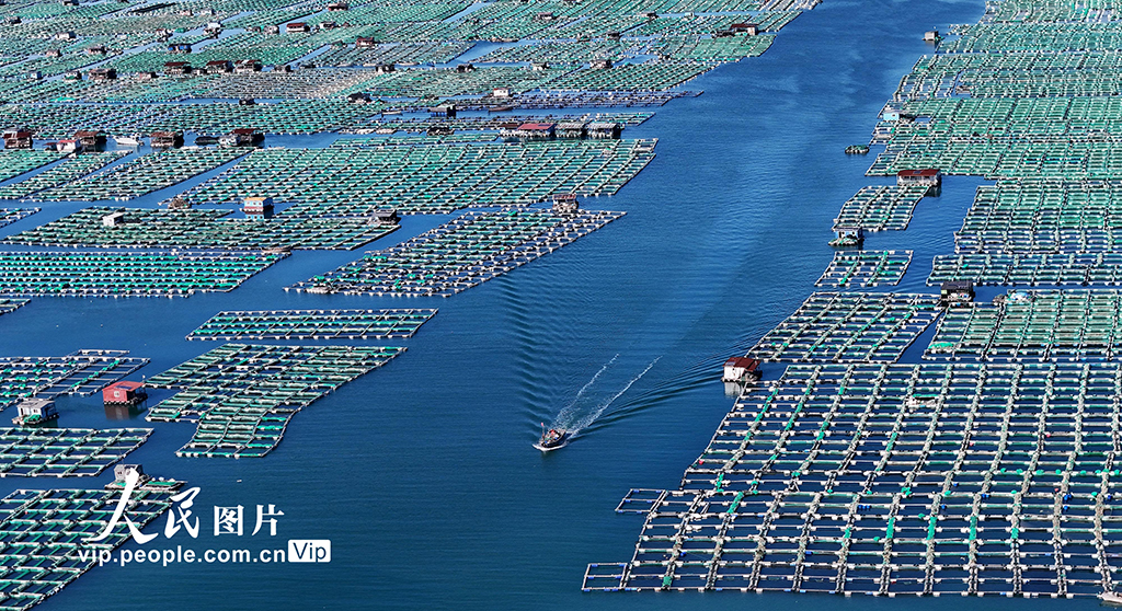 山东烟台：积极建设海洋牧场【6】