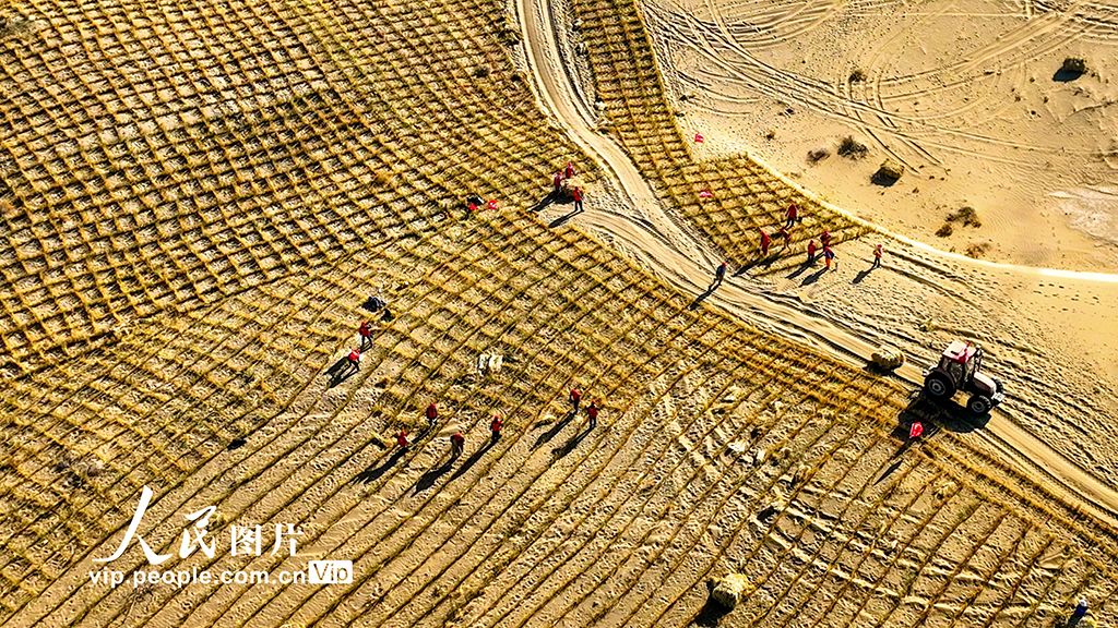 甘肃肃南：巴丹吉林沙漠“锁边”忙