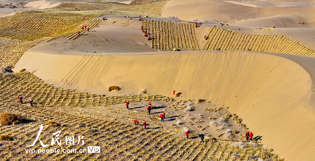 甘肃肃南：巴丹吉林沙漠“锁边”忙【3】