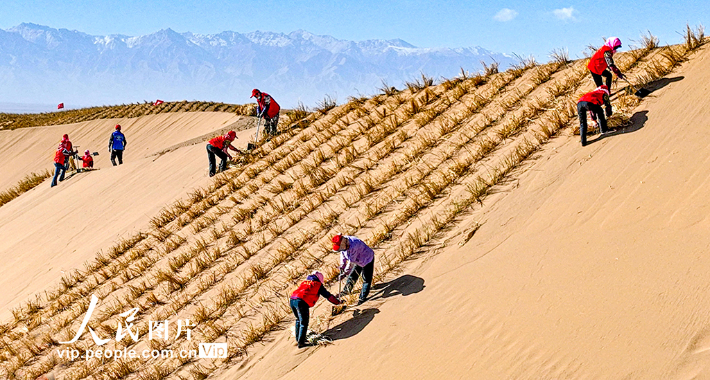 甘肃肃南：巴丹吉林沙漠“锁边”忙【2】