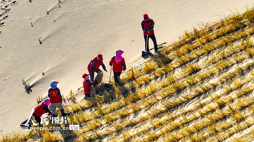 甘肃肃南:巴丹吉林沙漠“锁边”忙【9】