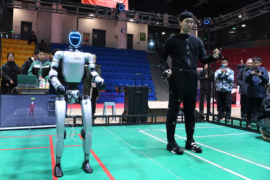 11月15日，在人形机器人演示现场，工作人员演示一套光学运动捕捉系统。