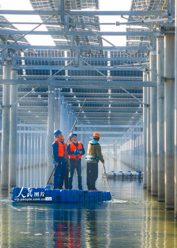 安徽无为：巡检光伏发电设施 护航绿色能源安全【3】