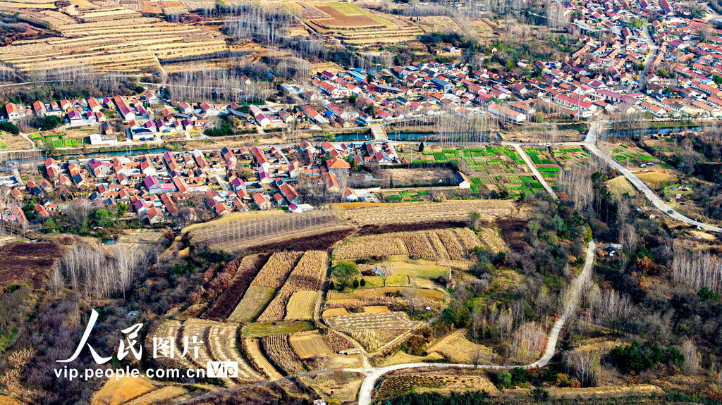 山东青岛:冬日梯田景如画【2】