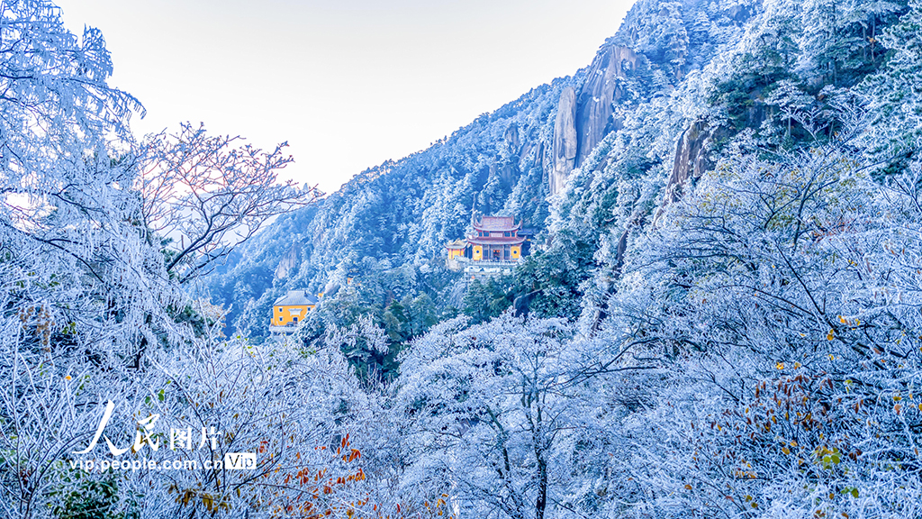 安徽池州：九华山雾凇美景迷游人【2】