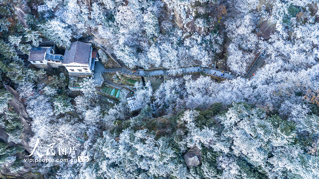 安徽池州:九华山雾凇美景迷游人【5】