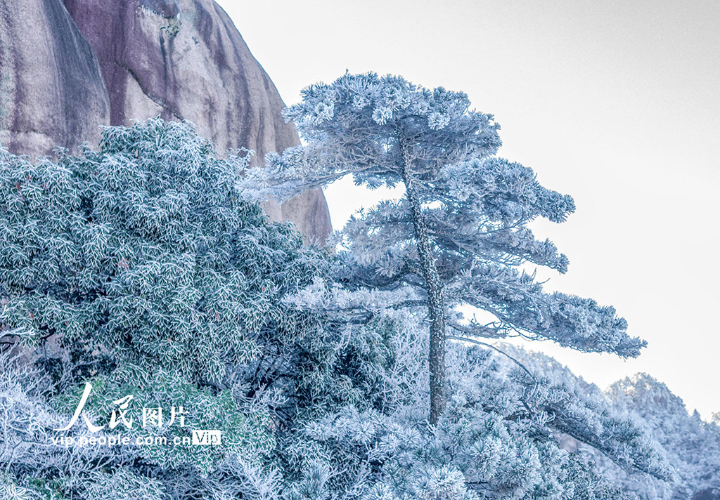 安徽池州：九华山雾凇美景迷游人【6】