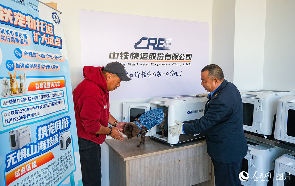 携宠游客与工作人员交接宠物。