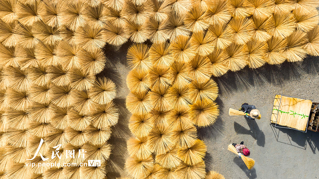 江西铜鼓：抢抓“以竹代塑”机遇 大力发展竹产业【2】