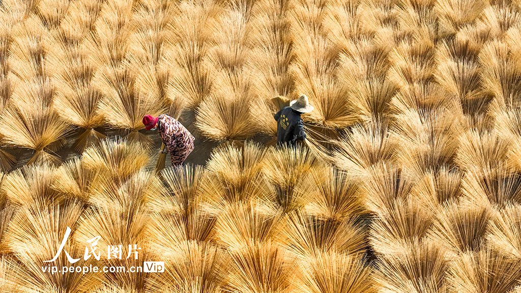 江西铜鼓:抢抓“以竹代塑”机遇 大力发展竹产业【3】