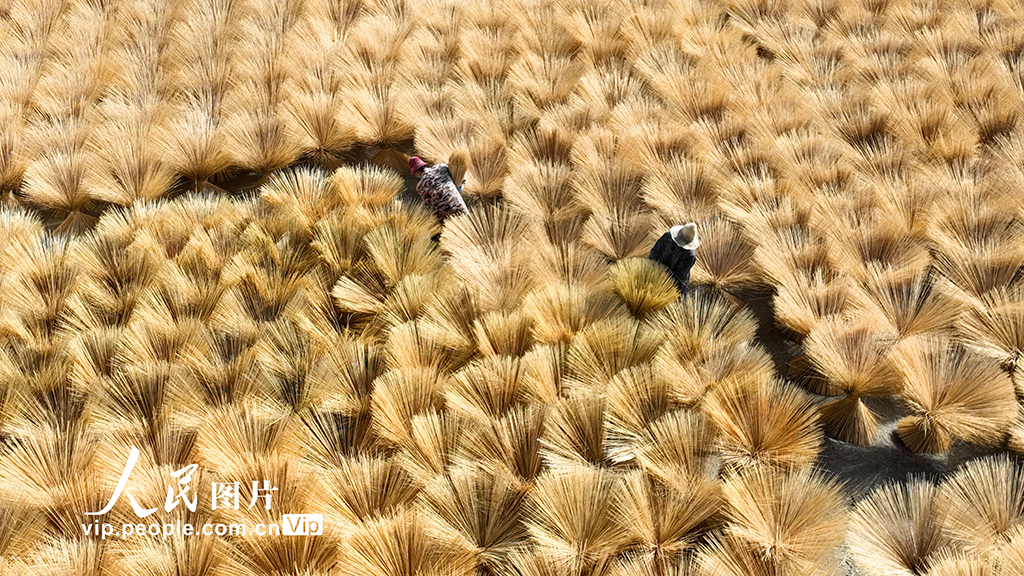 江西铜鼓:抢抓“以竹代塑”机遇 大力发展竹产业【4】