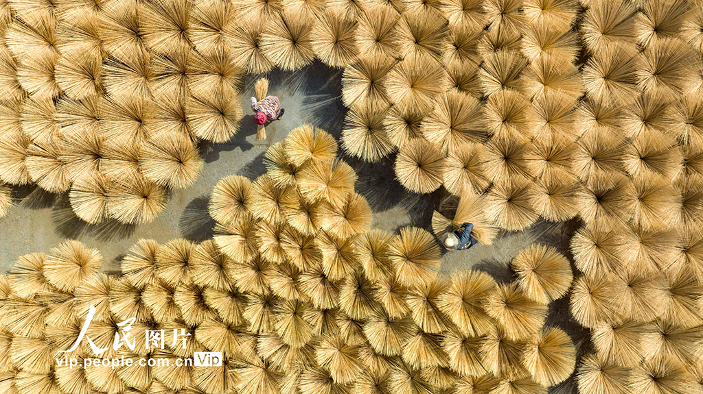 江西铜鼓：抢抓“以竹代塑”机遇 大力发展竹产业【5】