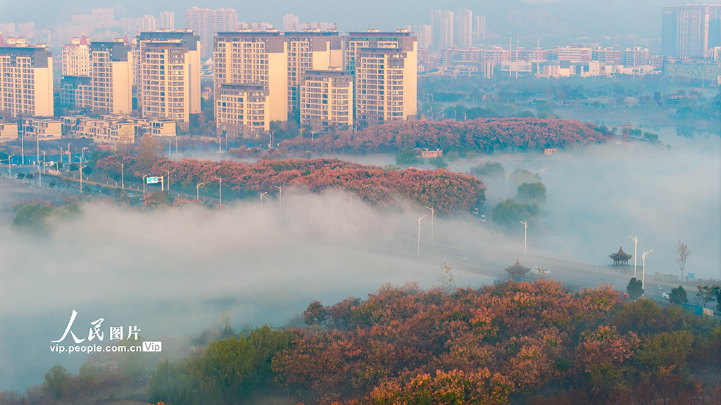 安徽淮北：冬日云海【4】