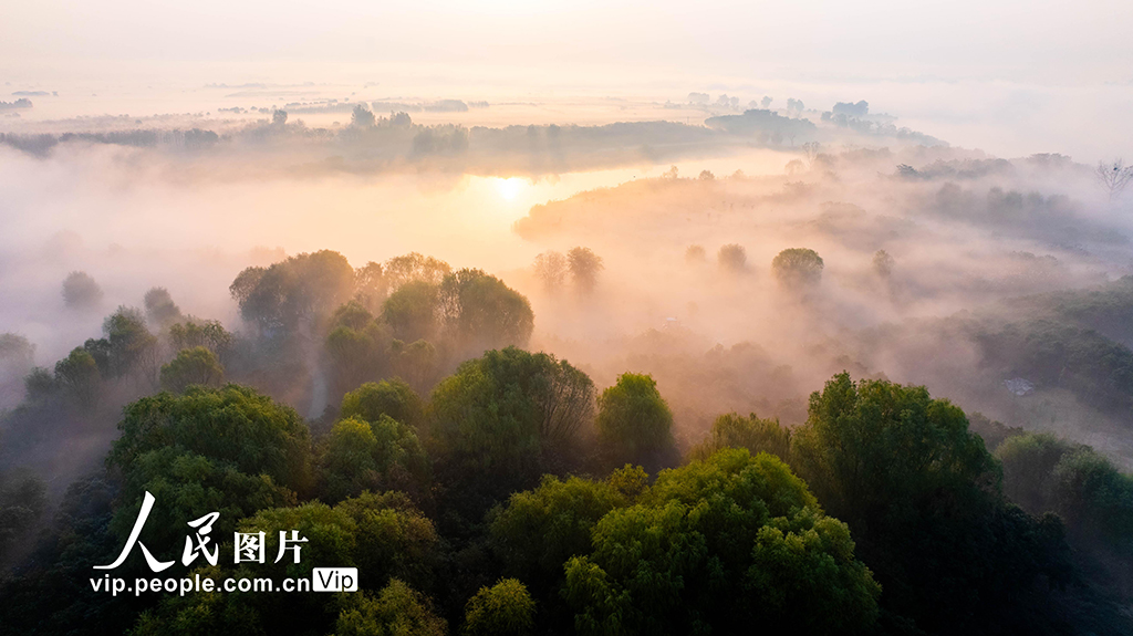 安徽淮北:冬日云海【5】
