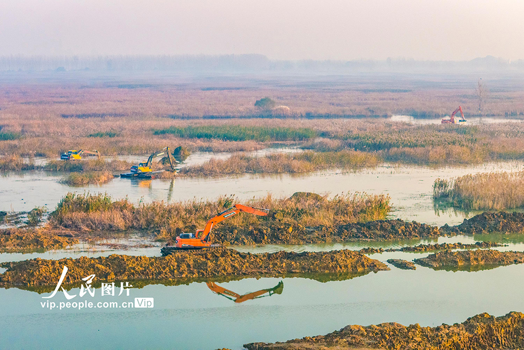 江苏泗洪：修复洪泽湖湿地【5】