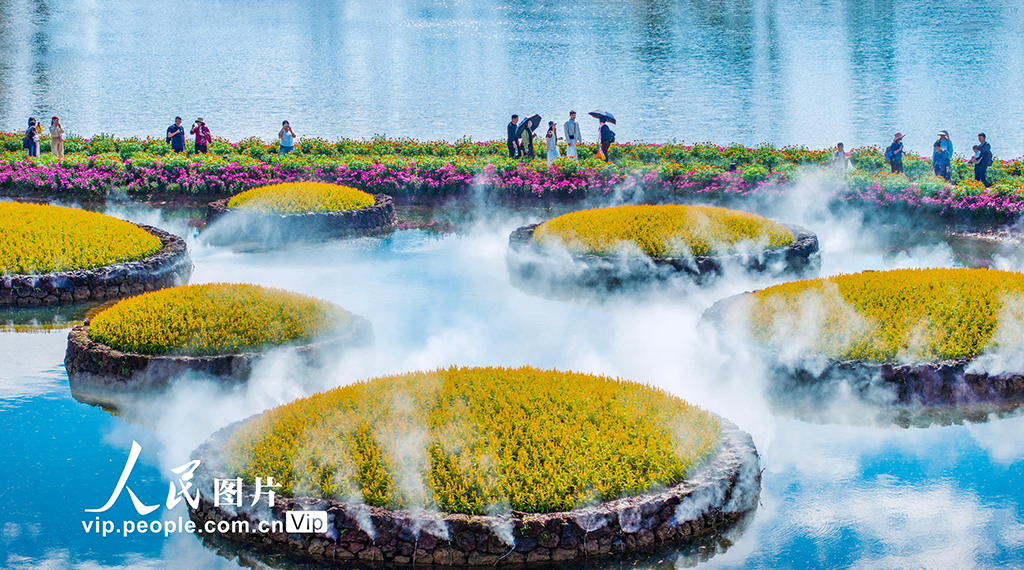 广西南宁:徜徉丘石花园【2】