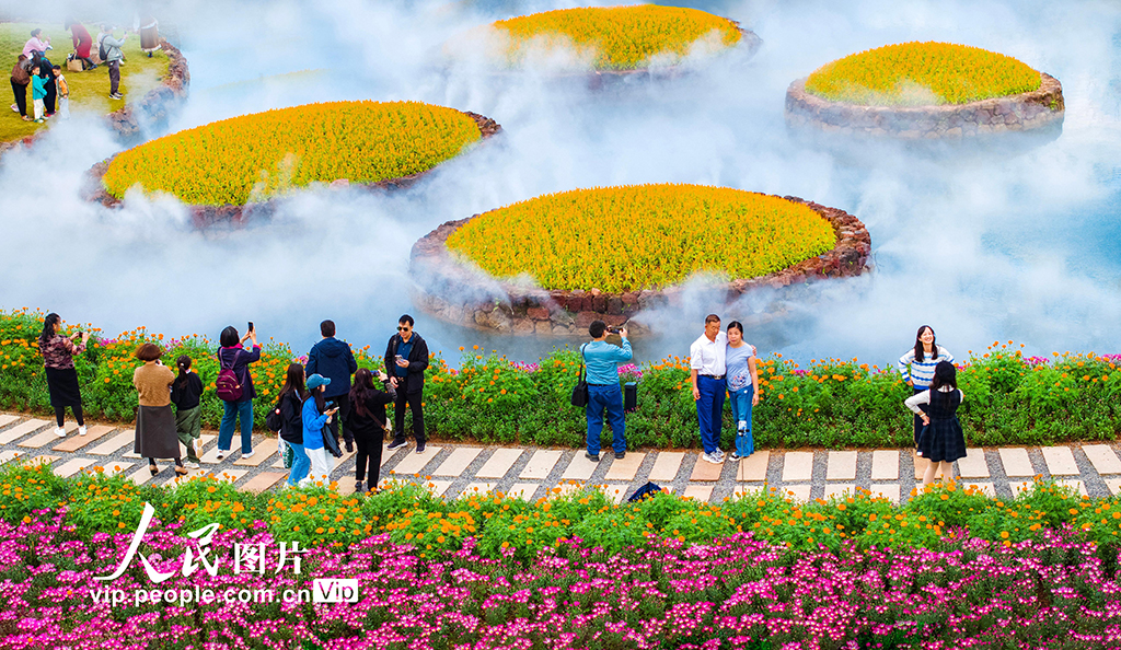 广西南宁:徜徉丘石花园【3】