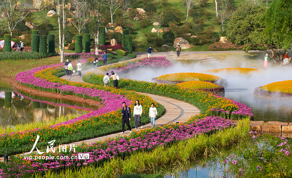 广西南宁:徜徉丘石花园【5】