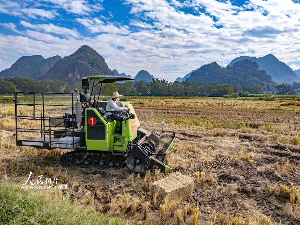 广西贺州：秸秆回收 变废为宝【4】
